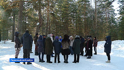 Жители Первомайского района пытаются спасти остатки ленточного бора