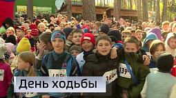 Барнаул принял участие во Всероссийском дне ходьбы