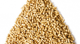 Фанерный комбинат в Заринске переходит на безотходное производство