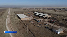 В Локтевском районе сельские жители объединились, чтобы бороться с низкими закупочными ценами на молоко