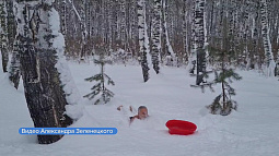 Известный алтайский морж Александр Зеленецкий искупался в снегу