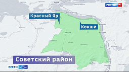В Алтайском крае продолжают фиксировать присутствие медведей вблизи населённых пунктов