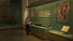 Уникальные находки Пазырыкских курганов позволят изучить рацион питания древних людей