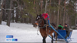 В Рождество Христово по Алтайскому краю сохранится снег и порывистый ветер