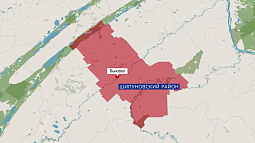 Бешеный барсук покусал женщину в Шипуновском районе