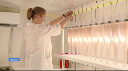 Алтайские цисты артемии впервые отгружены в Мексику