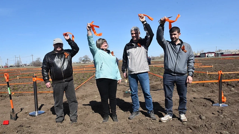 В окрестностях Кулунды высадили деревья в виде надписи «Энергия Победы»