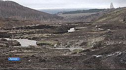 Управление Росприроднадзора через суд требует от золотодобытчиков 234 миллиона рублей