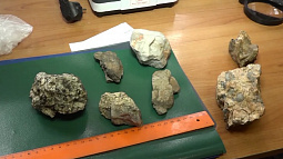 Алтайская экспедиция по стопам первого русского покорителя Тянь-Шаня увенчалась грандиозным успехом