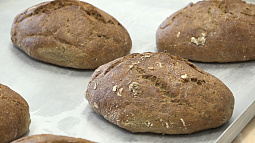 Студенты академии гостеприимства испекли и попробовали блокадный хлеб 