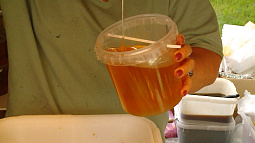 Пчеловоды со всего края привезли в Барнаул лучшие сорта мёда