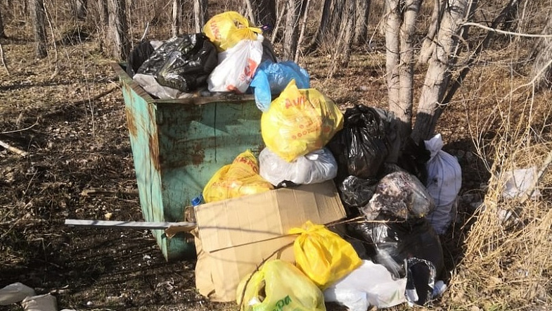 Жители Алтайского района пожаловались на мусорного регоператора в Генпрокуратуру