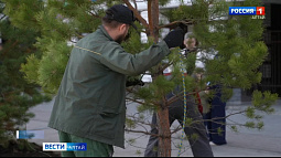 В Барнауле восстановили аллею, которая пострадала от рук вандалов