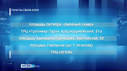 Барнаульцев призывают не выбрасывать ёлки до 18 января