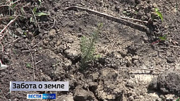 Алтайский край включат в национальную программу по борьбе с опустыниванием