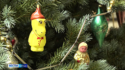 Барнаульский зоопарк объявил семейный конкурс на лучшую игрушку для уличной новогодней ёлки