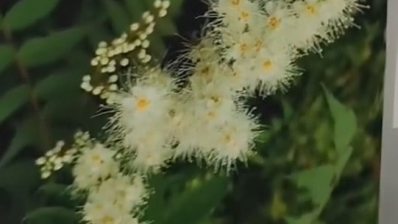 Фотовыставку «Мгновения света» участника СВО представили в Барнауле