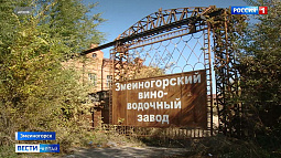 В Змеиногорске в очередной раз выставили на торги здание административного корпуса ликеро-водочного завода