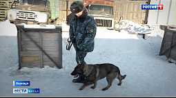 В краевом УФСИНе встретили четвероногих новобранцев