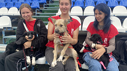 Юные футболисты академии «Динамо» устроили акцию в помощь бездомным животным из приюта «Ласка»