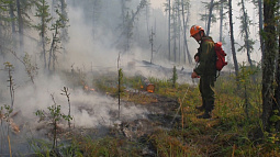 Десантники-пожарные из ХМАО приступили к тушению лесного пожара в Егорьевском районе