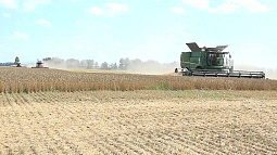 На заседании правительства Алтайского края подвели итоги социально-экономического развития региона в 2024 году