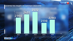 В Алтайском крае выросло число людей, покусанных собаками