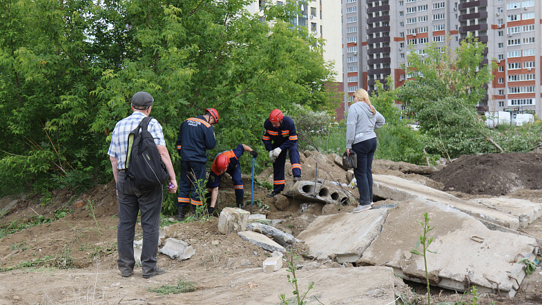 В Барнауле сотрудники МЧС спасли из бетонной западни четверых щенков