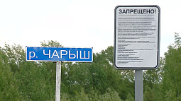 Местные жители бьют тревогу: по берегам Чарыша появились карьеры по добыче гравия