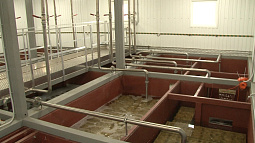 В модернизацию водопроводных очистных сооружений Барнаула в этом году вложат 275 млн рублей