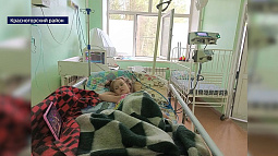 Юная жительница Красногорского района после укуса клеща поступила в больницу с отёком мозга