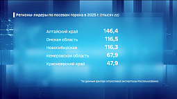 Алтайский край наращивает мощности по выращиванию и переработке гороха