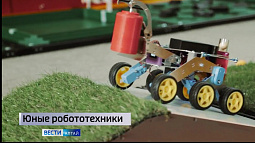 В Барнауле сегодня сразятся роботы-сумоисты
