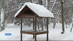 Сегодня – Синичкин день