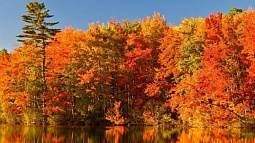 На Алтай пришло бабье лето