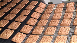 Сегодня – День выпекания печенья