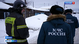 В Алтайском крае с начала года произошло более 600 пожаров