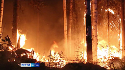 С сегодняшнего дня в Алтайском крае вновь действует штормовое предупреждение