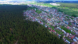Прокуратура встала на защиту соснового бора на Кутузова