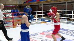 В Барнауле продолжаются поединки по боксу среди юниоров