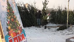 50 ёлочных базаров откроется сегодня в Барнауле