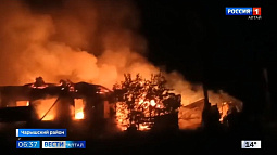 В селе Боровлянка Чарышского района пожар уничтожил собачий питомник «Вершина мира»