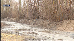 В Затоне перекрыли дорогу, ведущую на остров Шубинский