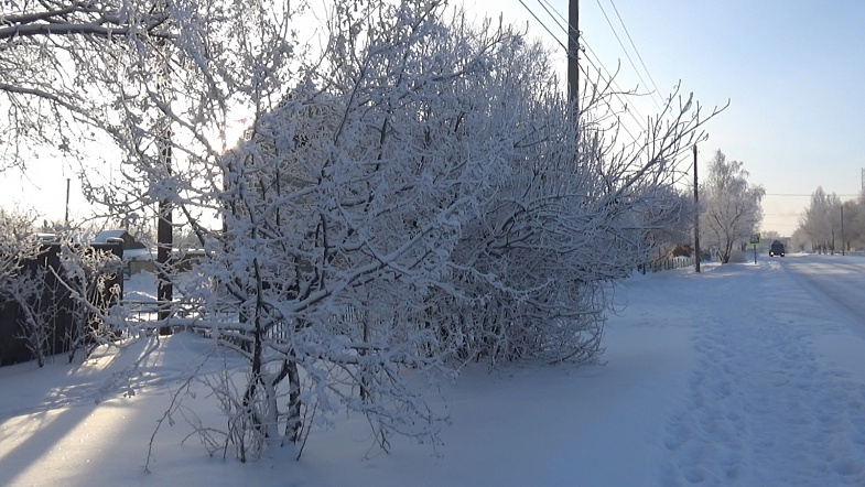 Природа взяла своё: в Кулунде впервые за зиму выпало много снега