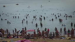 Автовокзал Томска запускает рейс в Яровое