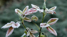 Метеоролог рассказал, как специалисты определяют погоду