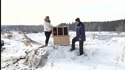 Тульские соколы обретут свободу на Алтае