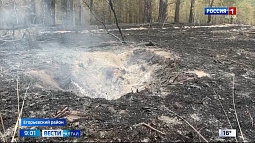 Крупный лесной пожар в Егорьевском районе окончательно ликвидируют не раньше среды