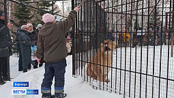 Медведевы, Зайцевы и другие обладатели «звериных» фамилий смогут сегодня бесплатно посетить барнаульский зоопарк