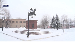 В Бийске представили брендбук, разработанный московскими специалистами 